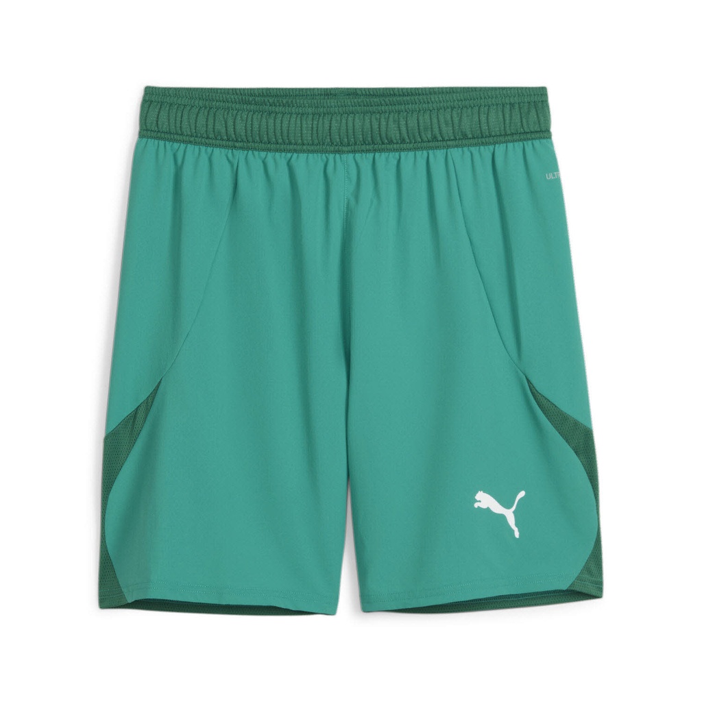 Puma teamFINAL Shorts grün