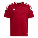 adidas Campeon 23 Trikot rot Kinder