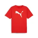 Puma teamRISE Logo T-Shirt rot