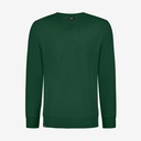 FHB TIMO Sweatshirt grün