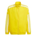 adidas Squadra 21 Präsentationsjacke gelb Kinder