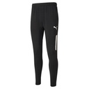 Puma teamLIGA Trainingshose Pro schwarz Kinder