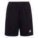 adidas Entrada 22 Training Shorts schwarz Kinder