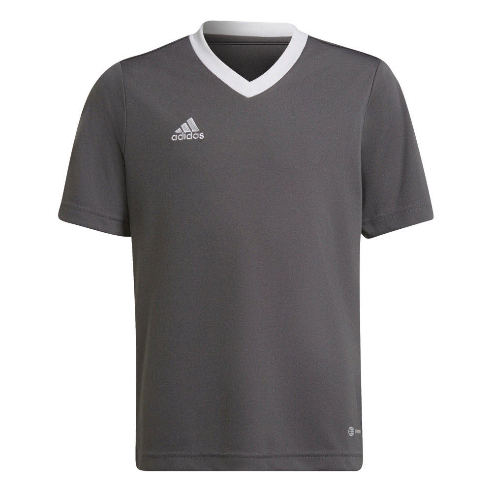 adidas Entrada 22 Trikot grau Kinder