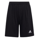 adidas Entrada 22 Shorts schwarz Kinder