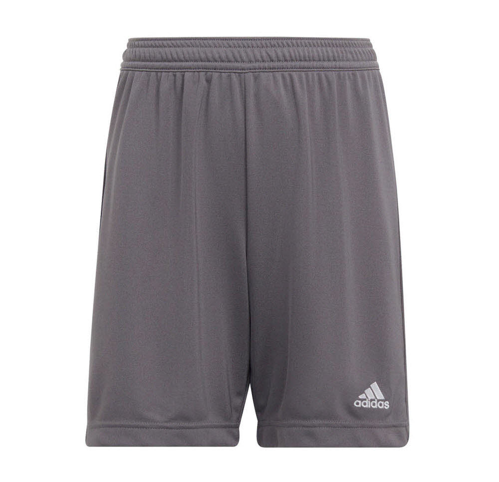 adidas Entrada 22 Shorts grau Kinder