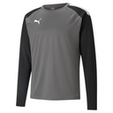 Puma teamLIGA Training Sweatshirt grau 