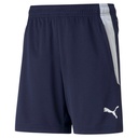 Puma teamLIGA Shorts dunkelblau Kinder