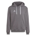 adidas Entrada 22 Kapuzenpullover grau  