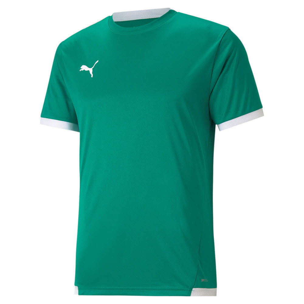 Puma teamLIGA Trikot grün