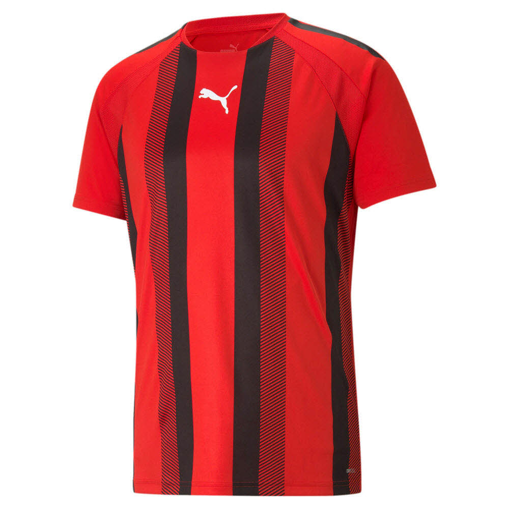 Puma teamLIGA Striped Trikot rot 