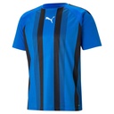 Puma teamLIGA Striped Trikot blau 