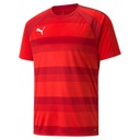 Puma teamVISION Trikot rot 