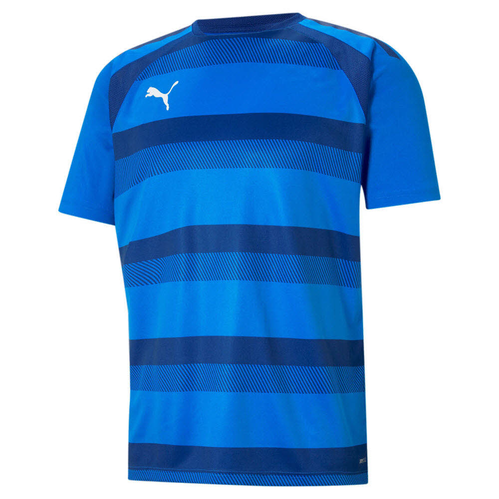 Puma teamVISION Trikot blau 