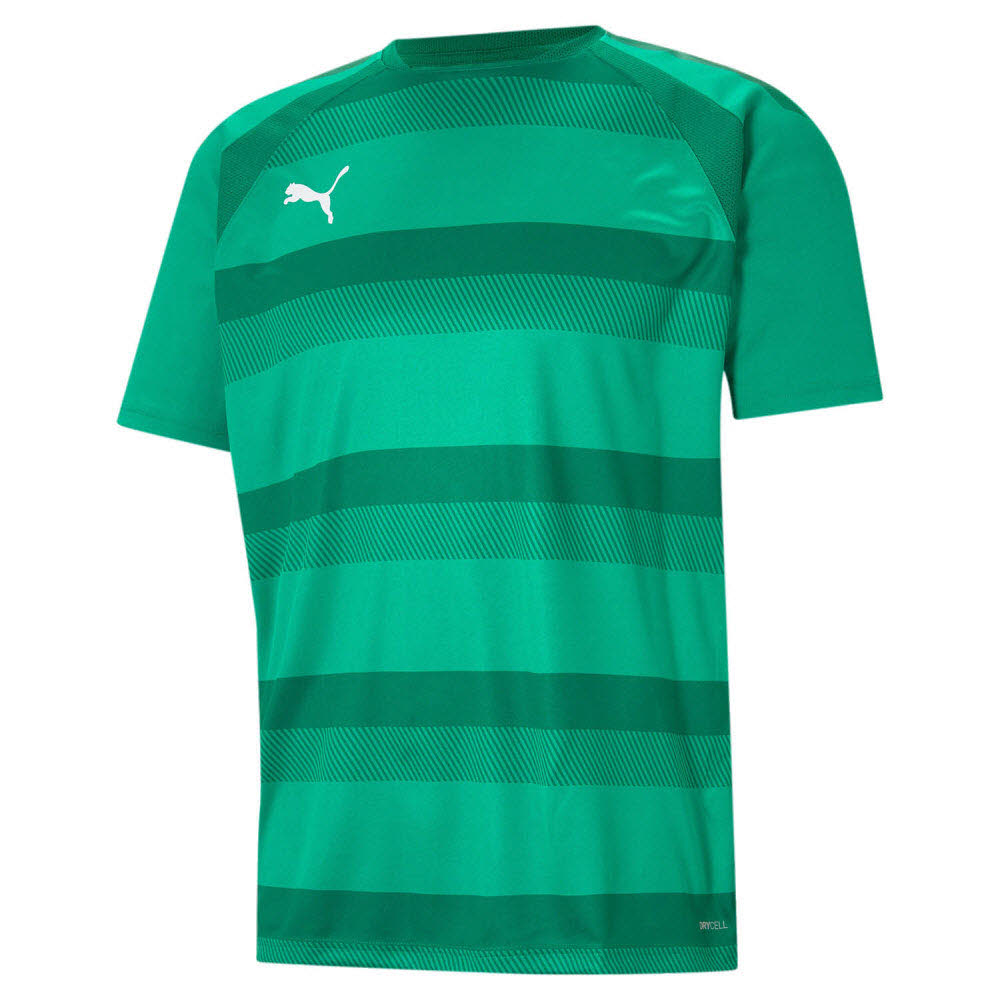 Puma teamVISION Trikot grün 