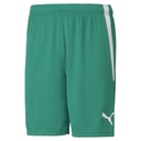 Puma teamLIGA Shorts grün