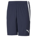Puma teamLIGA Shorts dunkelblau