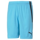 Puma teamLIGA Shorts hellblau