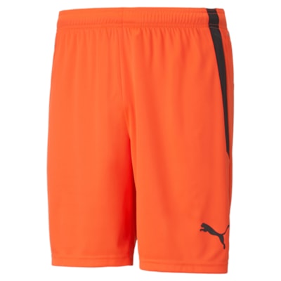 Puma teamLIGA Shorts rot