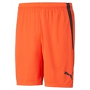 Puma teamLIGA Shorts rot