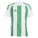 adidas Striped 24 Trikot grün-weiß Kinder 