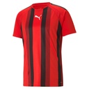 Puma teamLIGA Striped Trikot rot Kinder