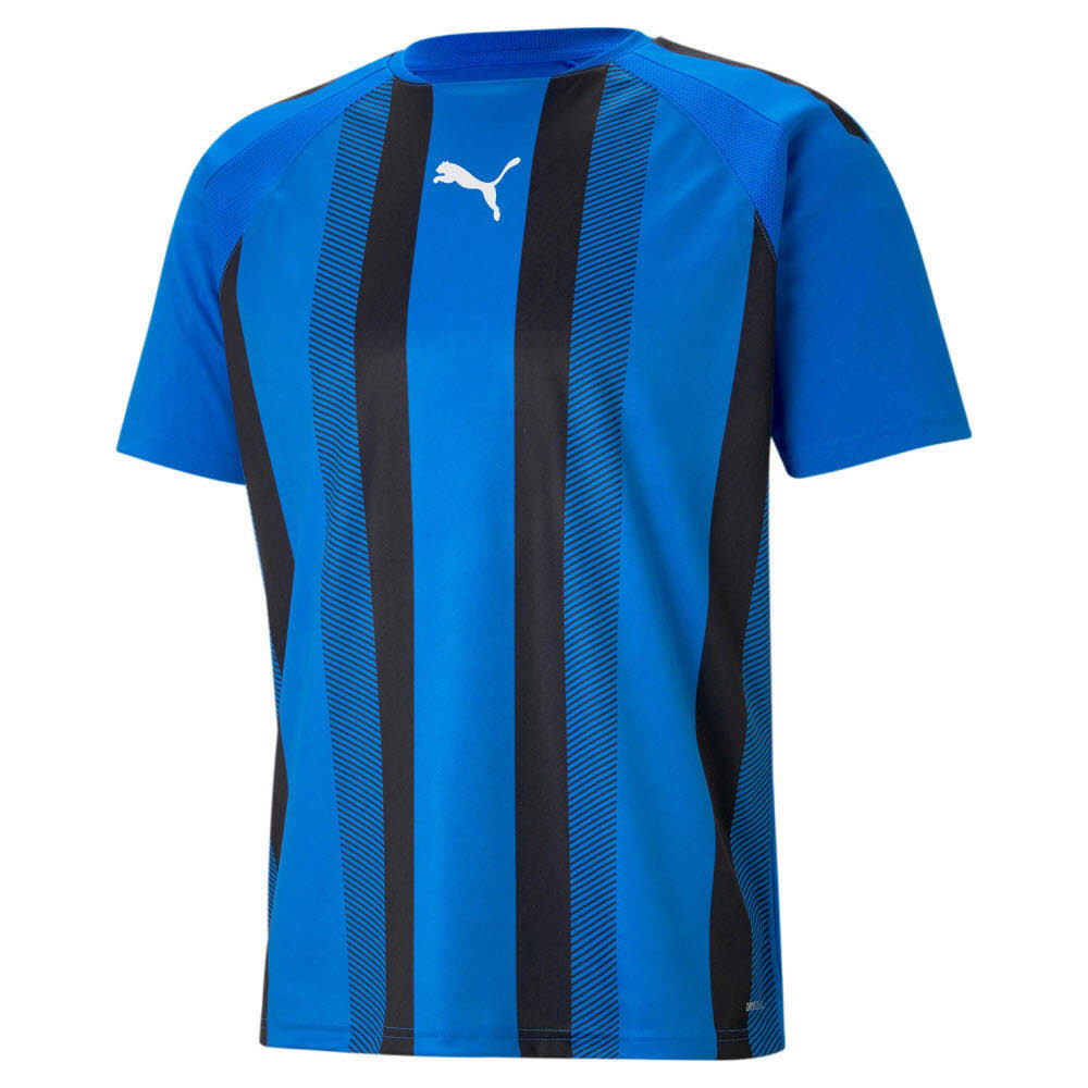 Puma teamLIGA Striped Trikot blau Kinder