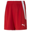 Puma teamLIGA Shorts rot Kinder