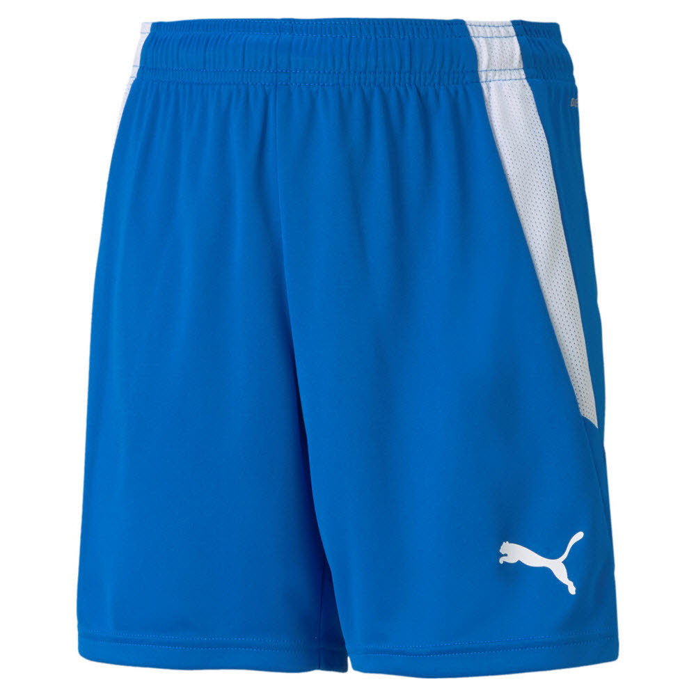 Puma teamLIGA Shorts blau Kinder