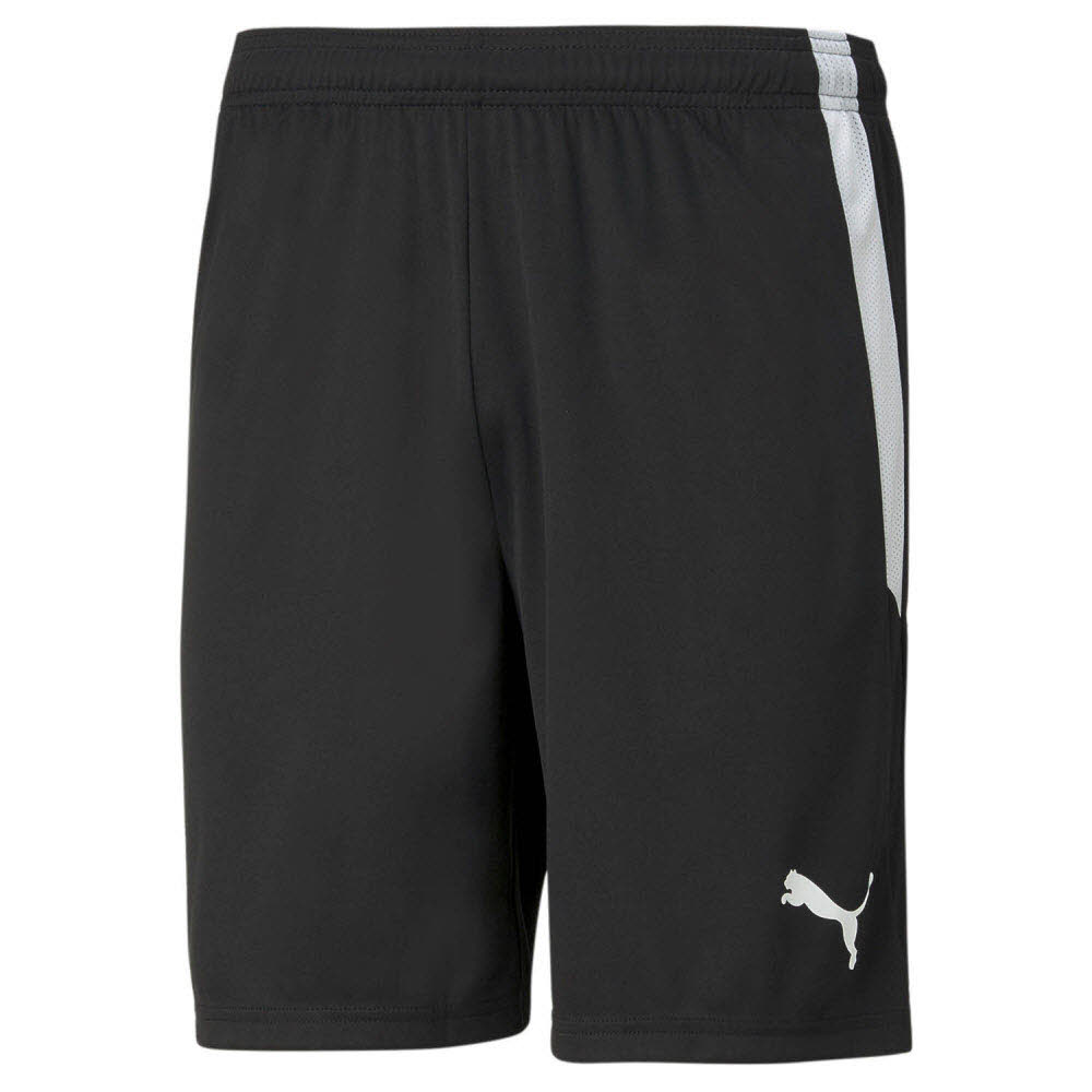 Puma teamLIGA Shorts schwarz Kinder