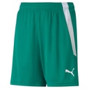 Puma teamLIGA Shorts grün Kinder