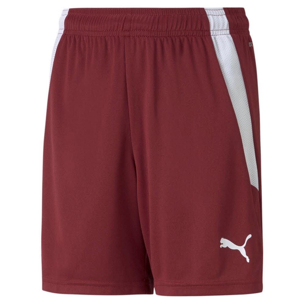 Puma teamLIGA Shorts dunkelrot Kinder