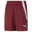 Puma teamLIGA Shorts dunkelrot Kinder