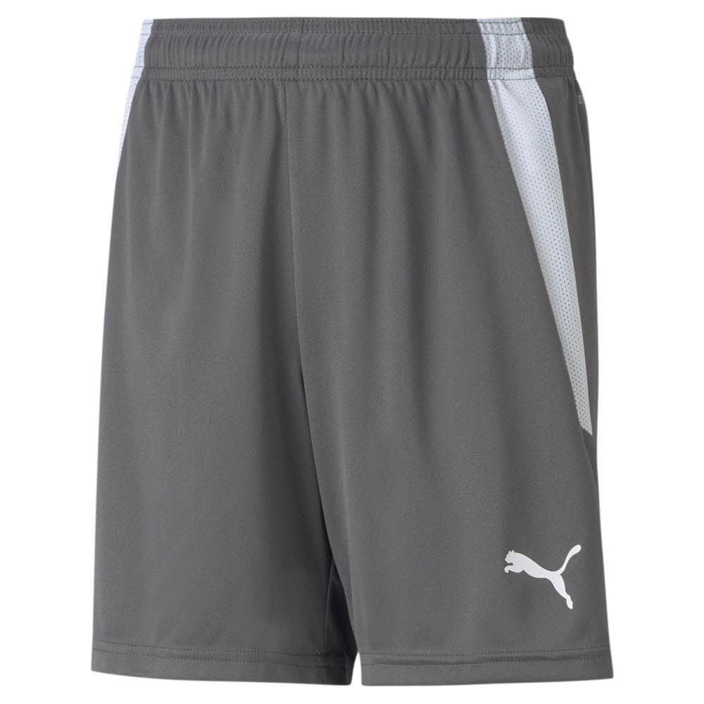 Puma teamLIGA Shorts grau Kinder