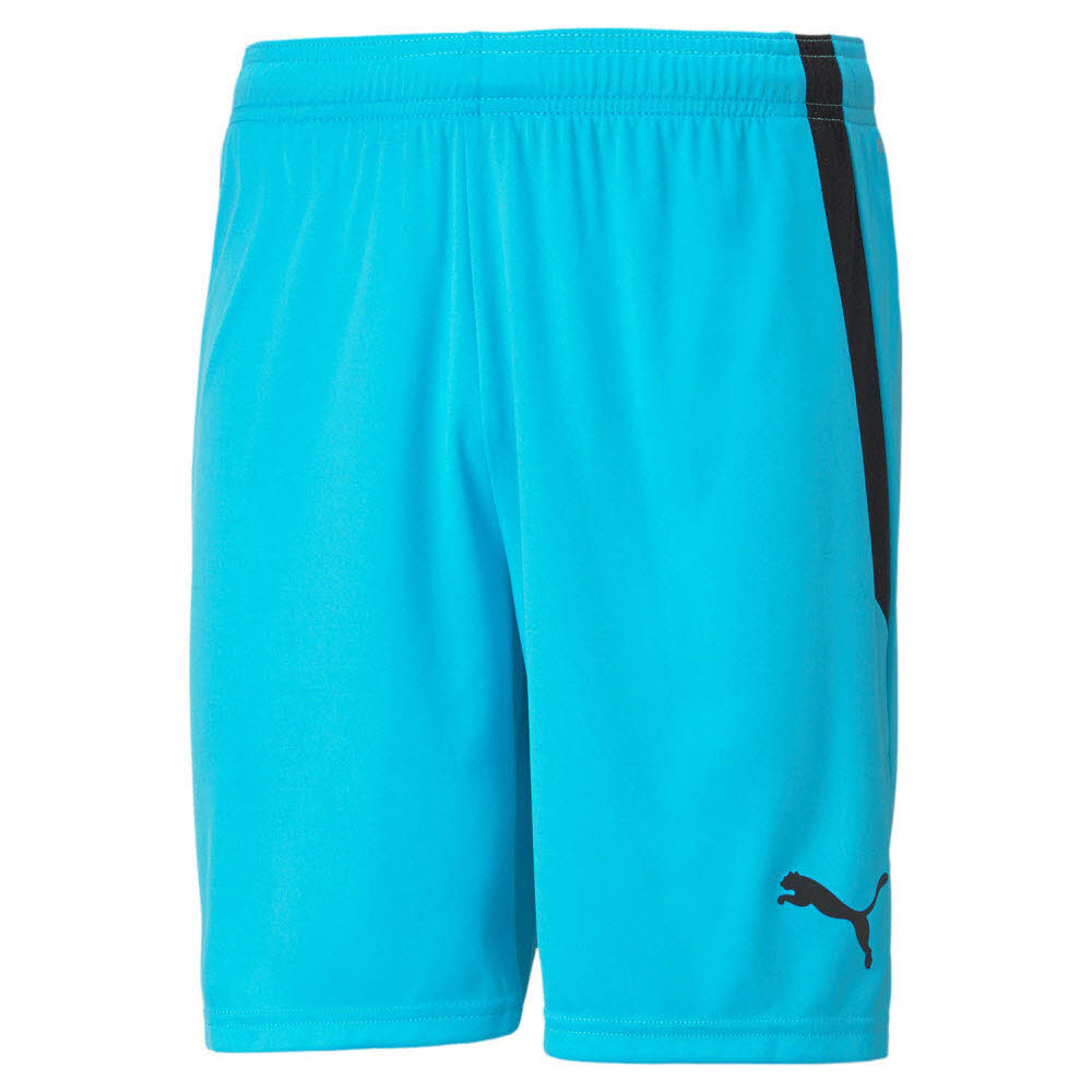 Puma teamLIGA Shorts hellblau Kinder