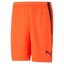 Puma teamLIGA Shorts orange Kinder