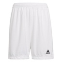 adidas Entrada 22 Shorts weiß Kinder