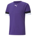 Puma teamRISE Trikot lila 