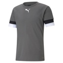 Puma teamRISE Trikot grau 