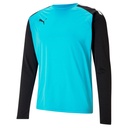 Puma teamPACER Torwarttrikot Langarm blau 