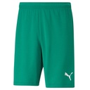 Puma teamRise Shorts grün