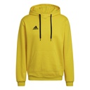 adidas Entrada 22 Kapuzenpullover gelb  