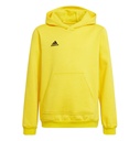 adidas Entrada 22 Kapuzenpullover gelb Kinder