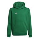 adidas Entrada 22 Kapuzenpullover grün Kinder