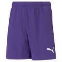 Puma teamRise Shorts lila Kinder