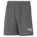 Puma teamRise Shorts grau Kinder