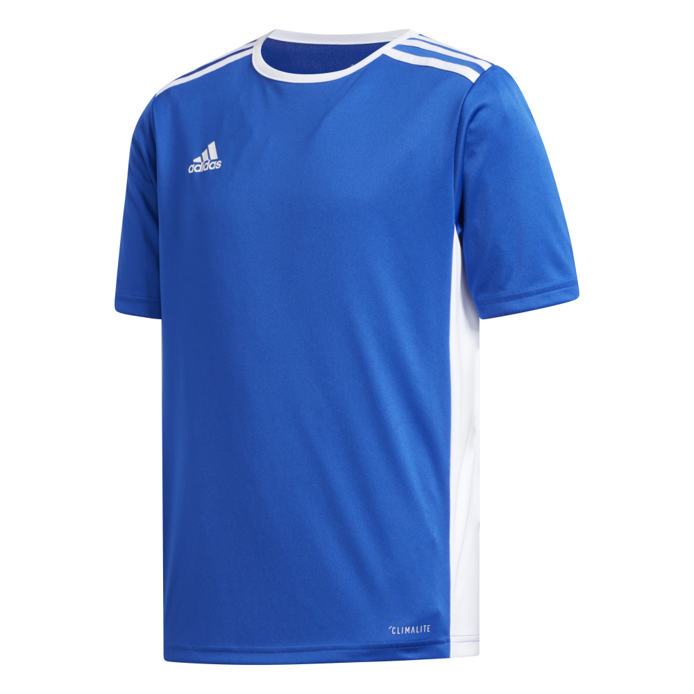 adidas Entrada 18 Trikot blau Kinder