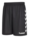 Hummel Essential Torwartshorts schwarz