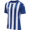  Hummel Core XK Striped Trikot blau-weiß