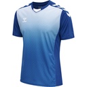 Hummel Core XK Sublimation Trikot blau